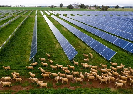 Italia formula nuevas regulaciones para la industria fotovoltaica agrícola innovadora